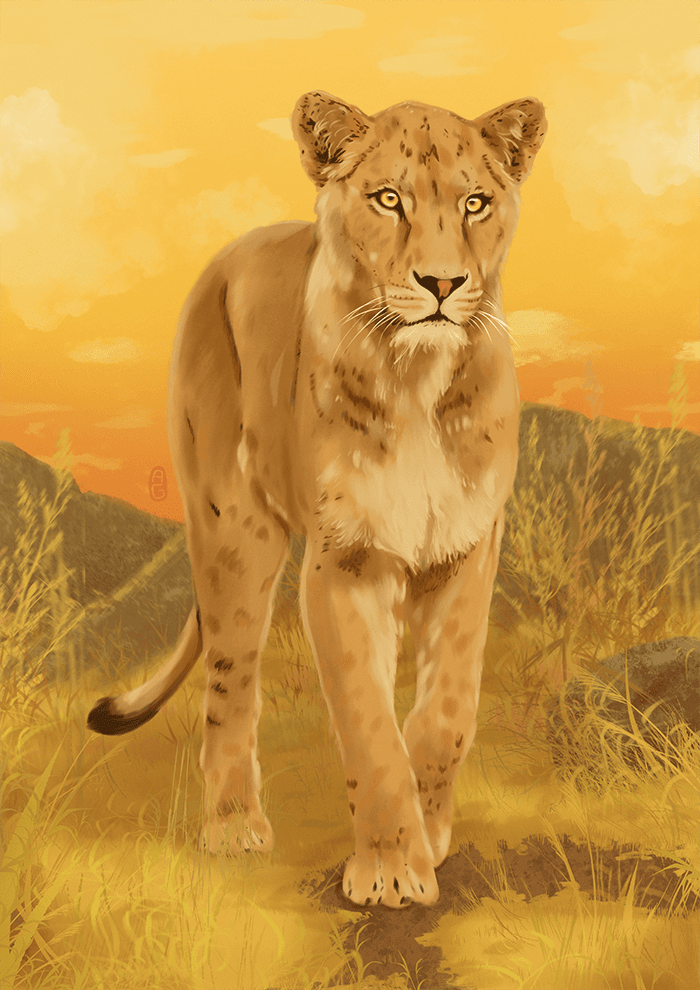 Lion