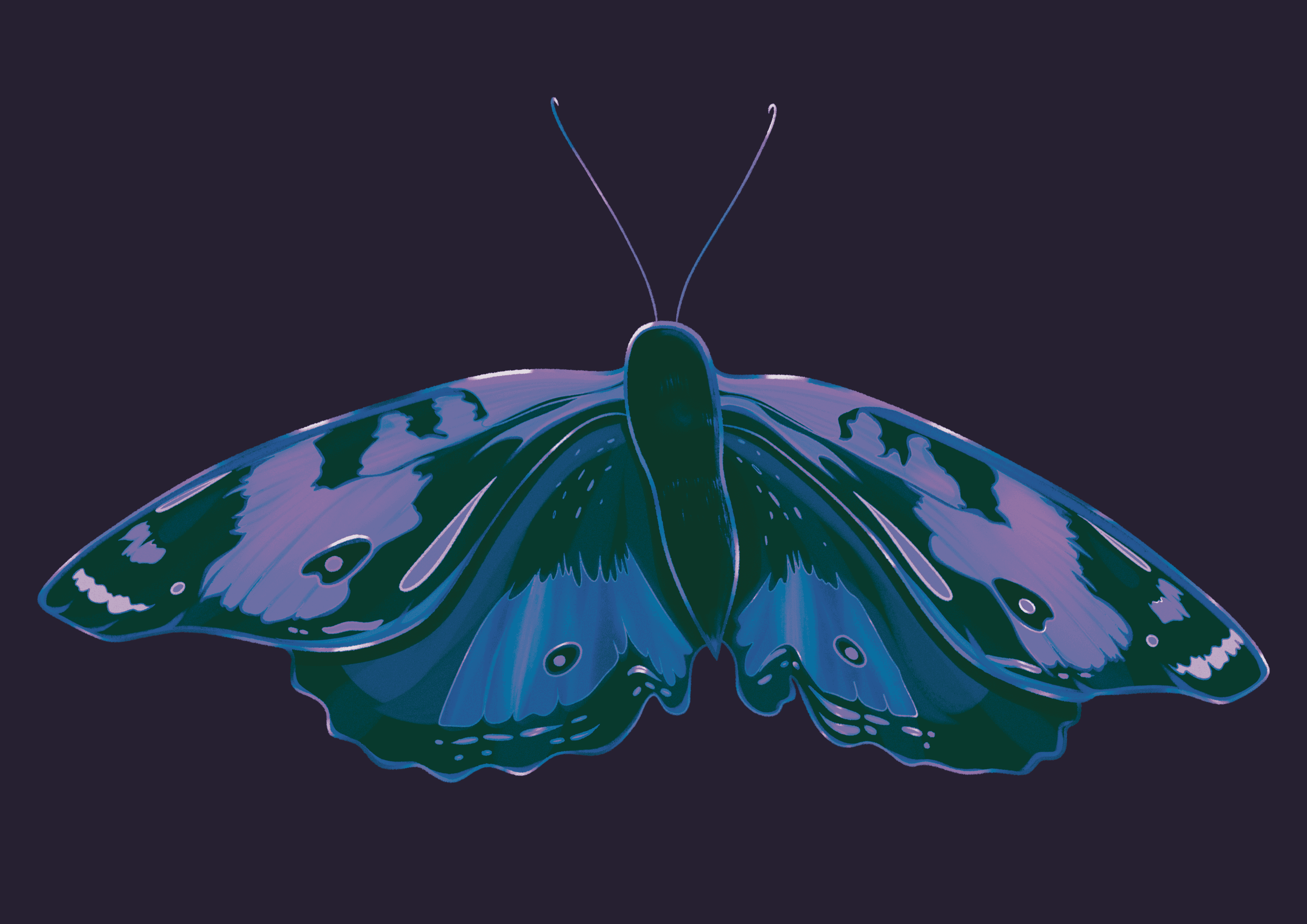 Dark Moth