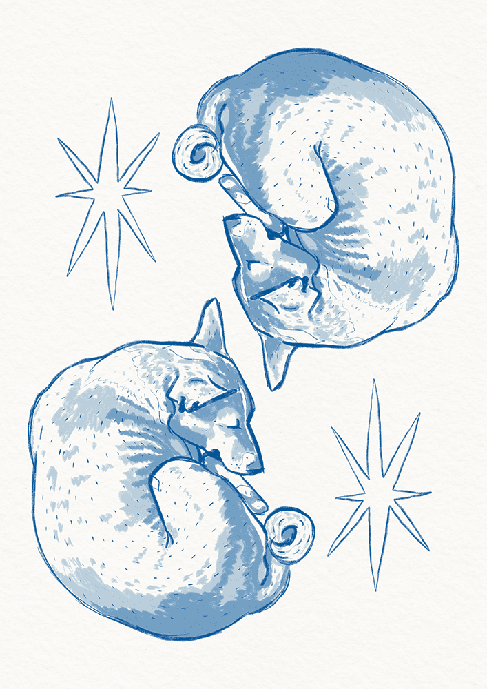 Dog Stars (Blue)