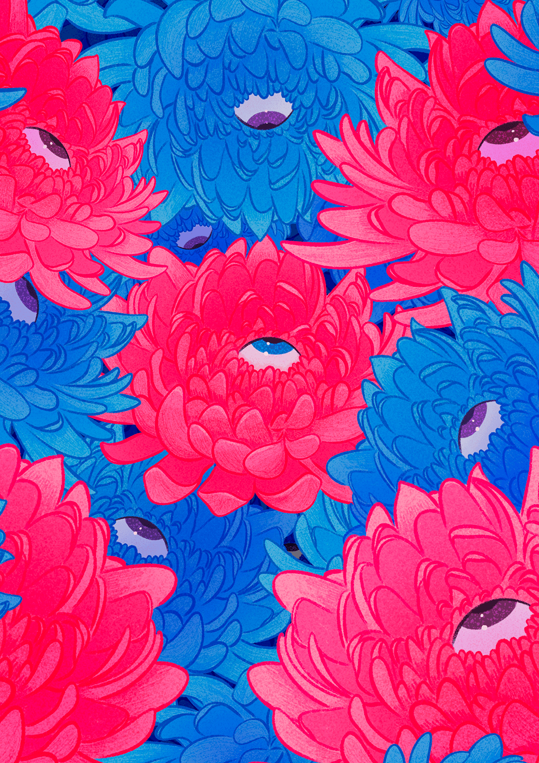 Eye of Chrysanthemum