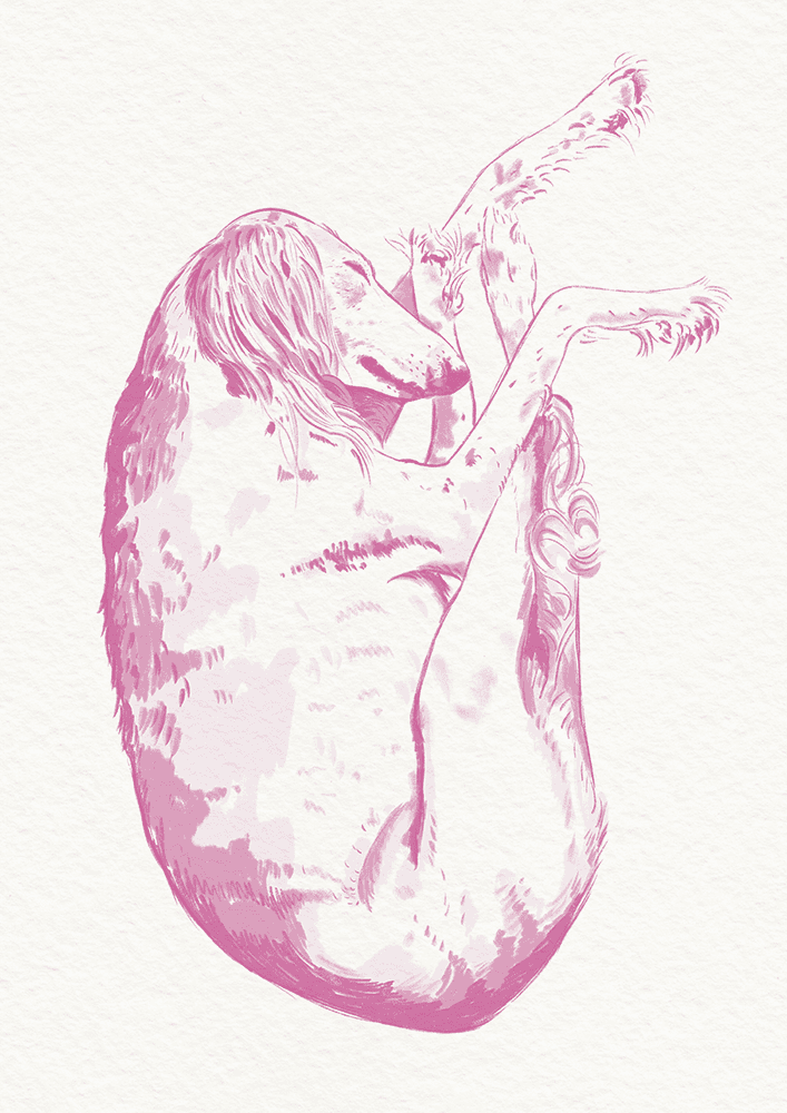 Sleepy Dog (Pink)