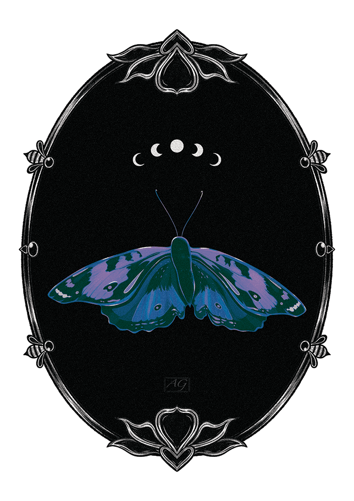 Moth Frame