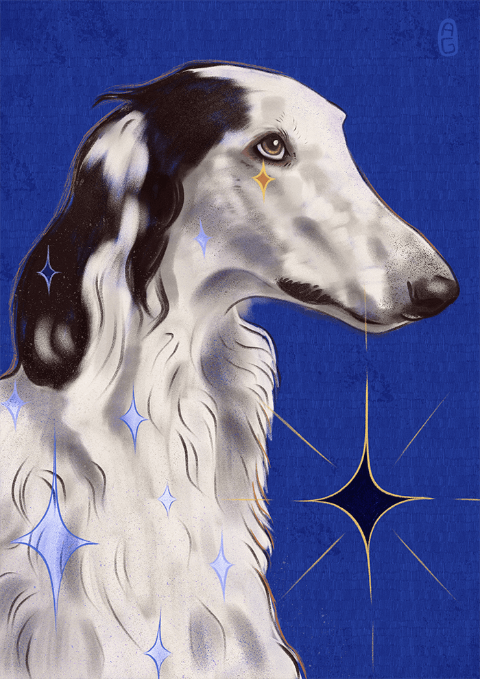 Borzoi