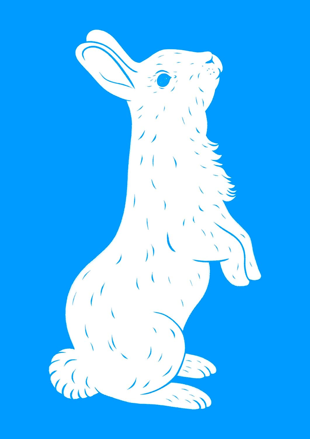 Bunny (White on Blue)