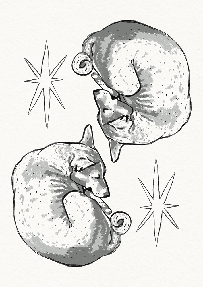 Dog Stars (Black)