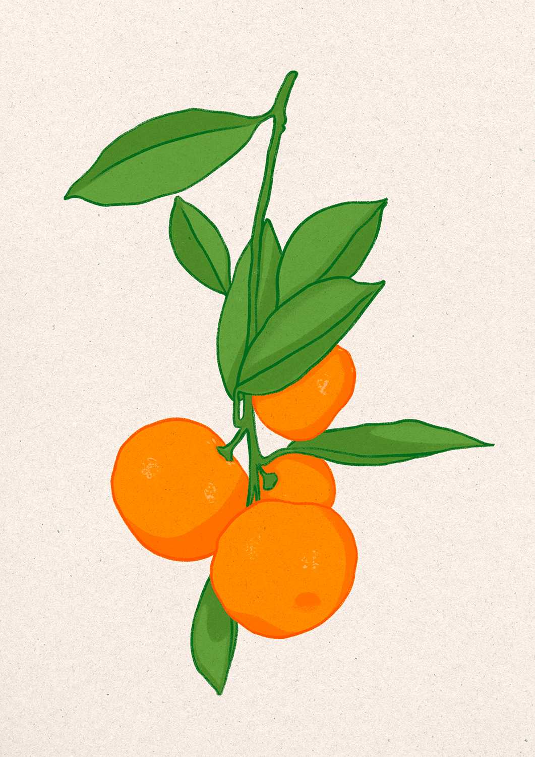 Mandarins