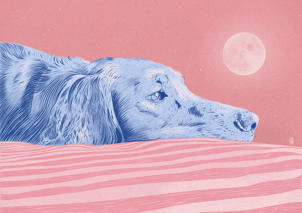 Moondog