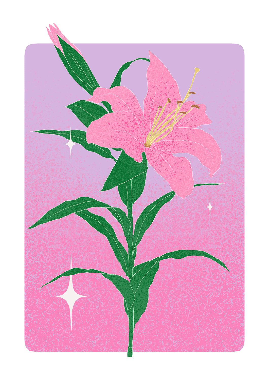 Lily