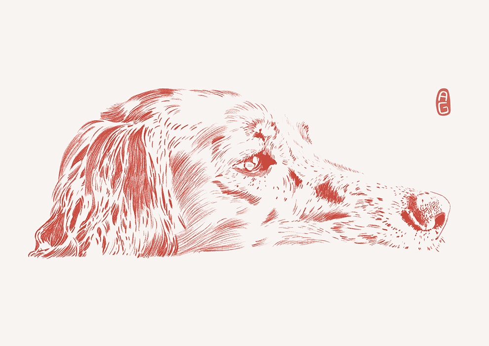 Dog Head