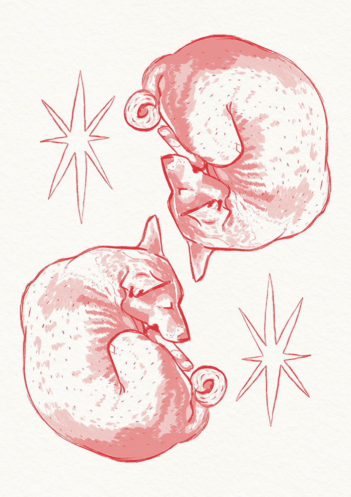 Dog Stars (Red)
